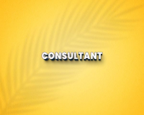 Consultant <br> Per Annum